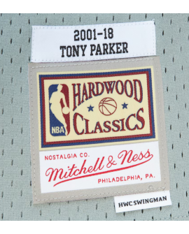 Maillot Swingman rétro unisexe Tony Parker des San Antonio Spurs Mitchell & Ness gris Hall of Fame promotion 2023